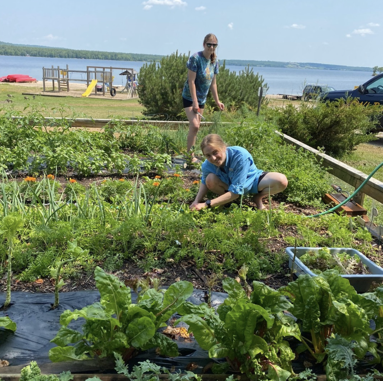 10 Sustainable Activities to Try at Home - OWL Rafting