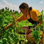 Sustainable travel efforts at OWL Rafting on the Ottawa River wilderness resort